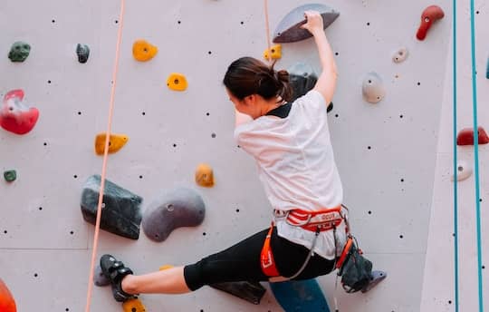 Climbing Harness Indoor